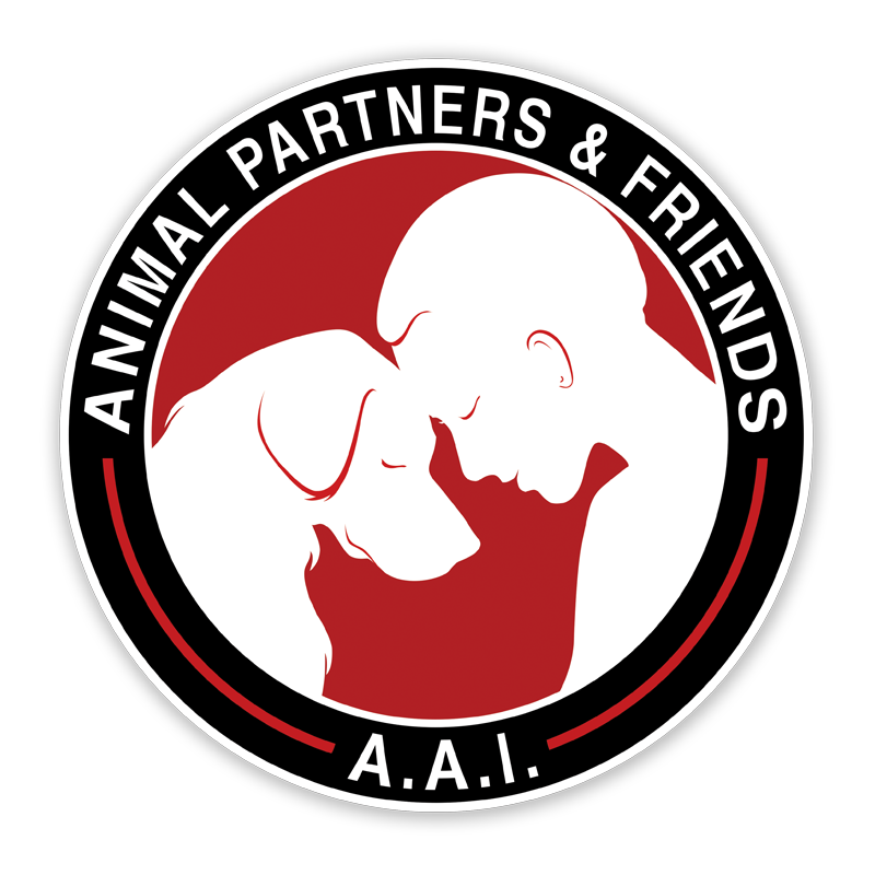 Asociatia Animal Partners & Friends