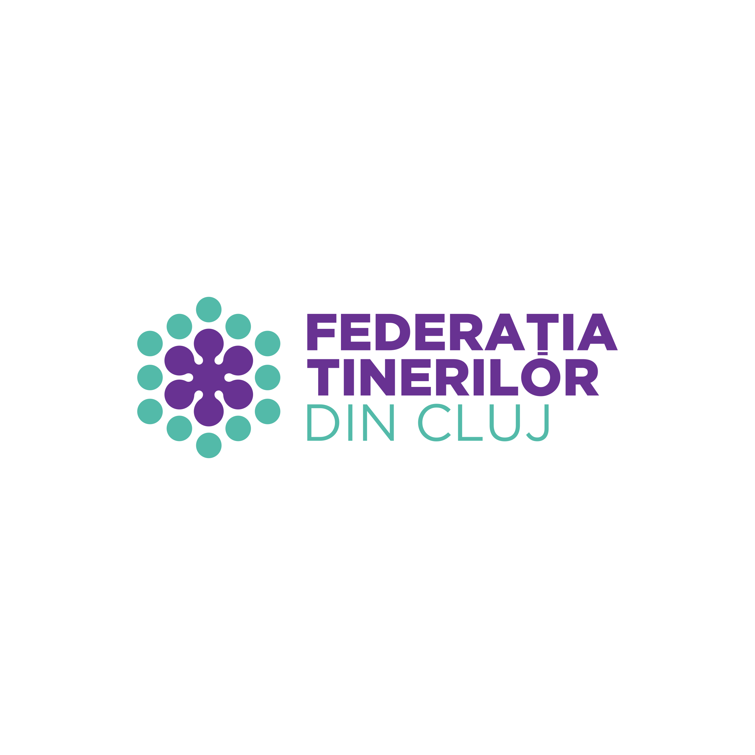 Federația Tinerilor din Cluj