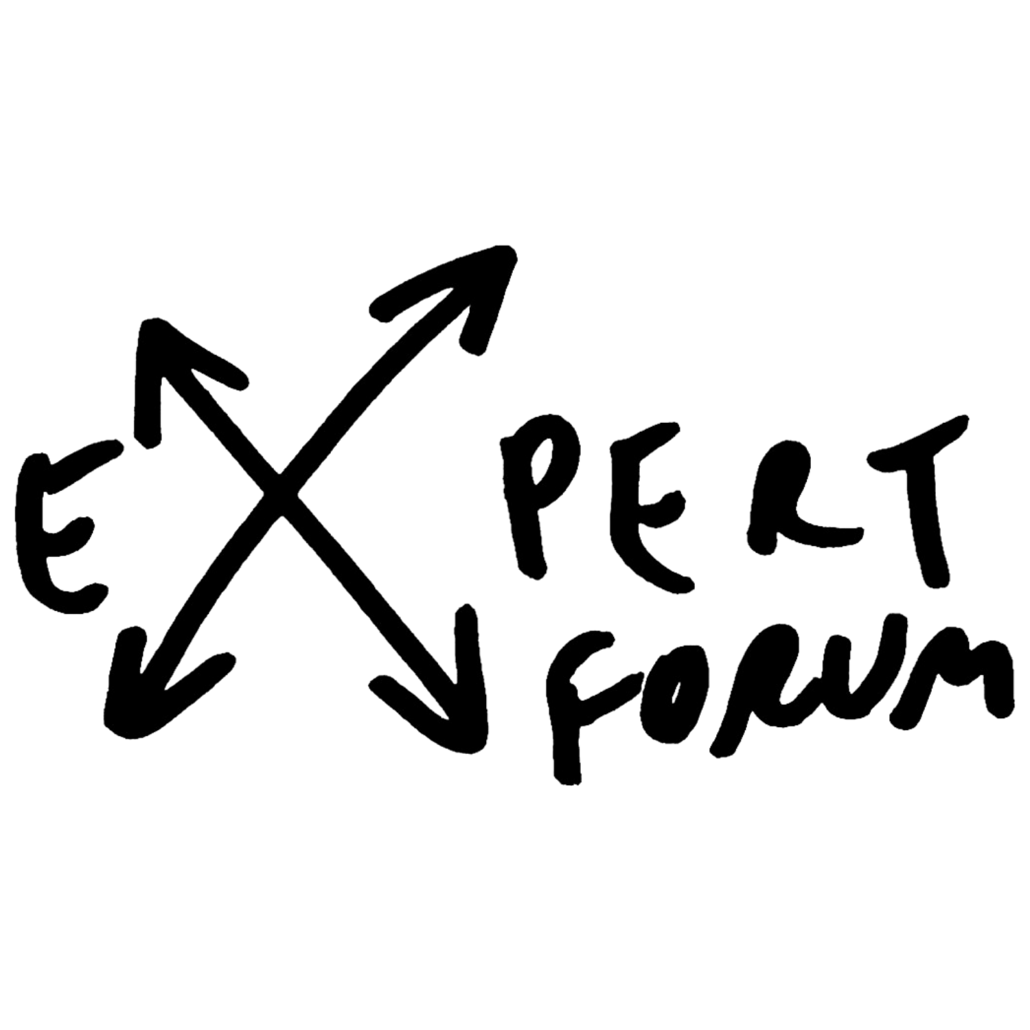 Asociația Expert Forum (EFOR)