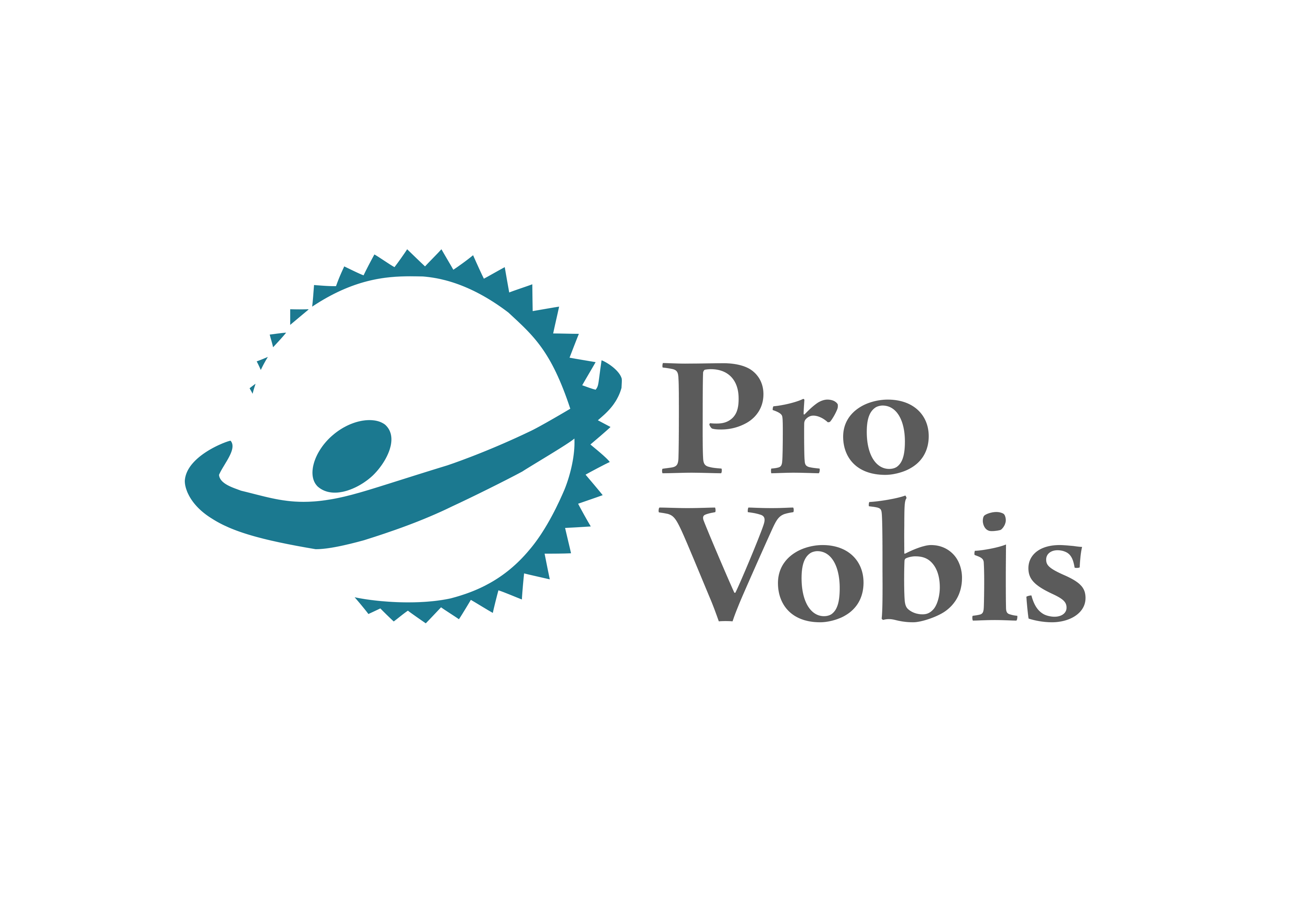 Pro Vobis - Centrul National de Resurse pentru Voluntariat