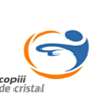 Asociația Copiii de Cristal