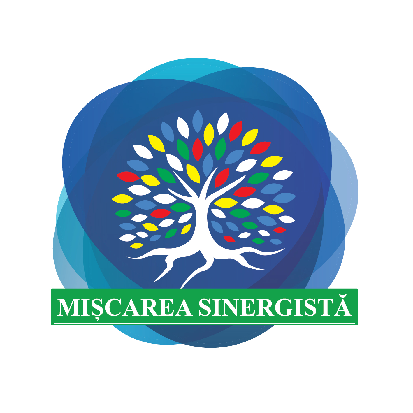 Asociatia Miscarea Sinergista