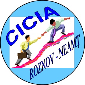 Centrul de Incubare Creativ-Inovativ de Afaceri