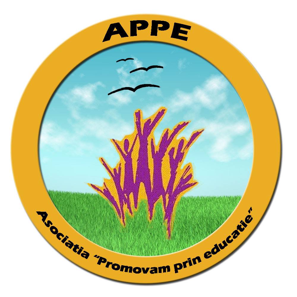 Asociatia Promovam prin Educatie
