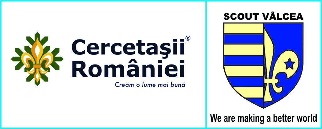 Organizația Națională „Cercetașii României” - Centrul local „Mircea cel Bătrân”