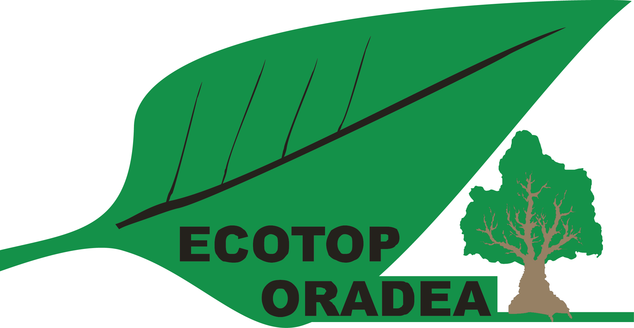 Fundația pentru Cultură și Educație Ecologistă Ecotop